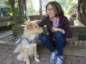 Sound Therapy at Animals in Harmony